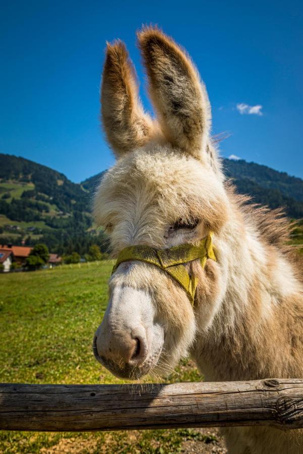 Apartamento Weidinghof Sankt Veit im Pongau Exterior foto